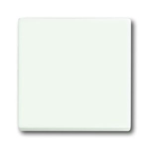 Busch-Jaeger bedieningswip 1786-884 studiowit mat