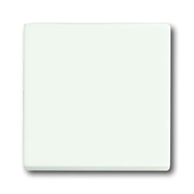 Busch-Jaeger bedieningswip 1786-884 studiowit mat