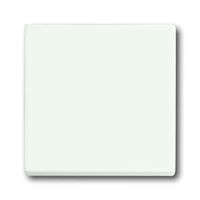 Busch-Jaeger bedieningswip 1786-884 studiowit mat