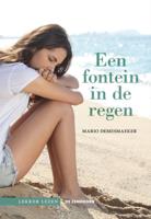 Een fontein in de regen (Paperback)