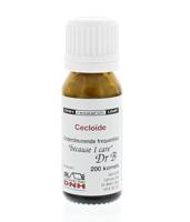 DNH Cecloide 135 200 Stuks
