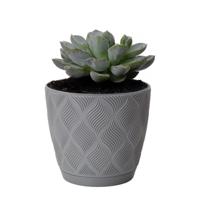 Form Plastic Plantenpot/bloempot New Age - kunststof - platina grijs - D13 x H12 cm - thumbnail