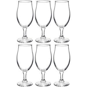 6x Stuks luxe bierglazen voor speciaalbier 260 ml