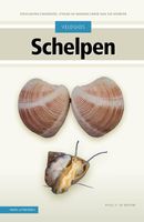 Natuurgids Veldgids Schelpen | KNNV Uitgeverij - thumbnail