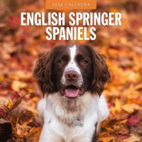 Engelse Springer Spaniel Kalender 2026