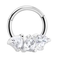 Hinged Segment Ring Chirurgisch staal 316L Piercingringen - thumbnail