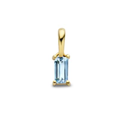 14K Geelgouden Hanger December Geboortesteen 9mm