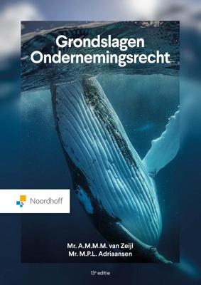 Grondslagen Ondernemingsrecht (Paperback)