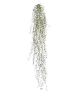 Tillandsia kunsthanger deluxe 120cm