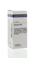 VSM Alumina D30 (10 gr)