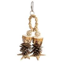 BACK ZOO NATURE FOREST RING