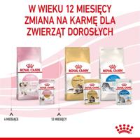 Royal Canin FHN Kitten Instinctive in saus - natvoer voor kittens - 12x85g