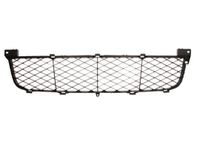 Ventilatiegrille, bumper 6502076825995P