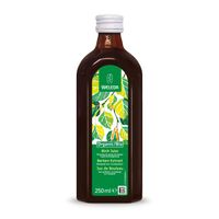 Weleda Berken Extract Bio 250ml