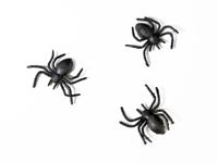 PartyDeco Horror/Halloween griezel spinnetjes - 10x - kunststof - zwart - 3 cm - Feestdecoratievoorwerp - thumbnail