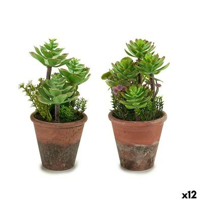 Decoratieve plant Ibergarden Plastic Vetplant 16 x 23 x 16 cm (12 Stuks)