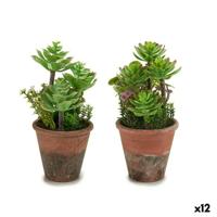 Decoratieve plant Ibergarden Plastic Vetplant 16 x 23 x 16 cm (12 Stuks)