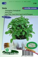Stevia zaden Honingplant