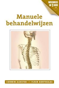Manuele behandelwijzen (Paperback)