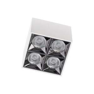 Lyora Witte opbouwspotMidi Led 2x2 leds - 3000K - 10047