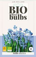 Scilla siberica bloembollen 10 bollen Oosterse sterhyacint JUB - Jub
