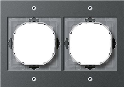 Gira TX 44 afdekraam 2-voudig antraciet