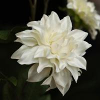 Dahlia Kunsttak deluxe 78cm Creme