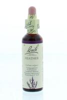 Bach Heather/struikhei