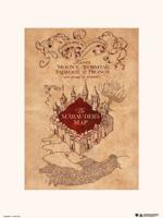 Kunstdruk Harry Potter - The Marauders Map 30x40cm