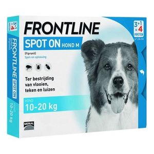 Frontline Hond spot on medium