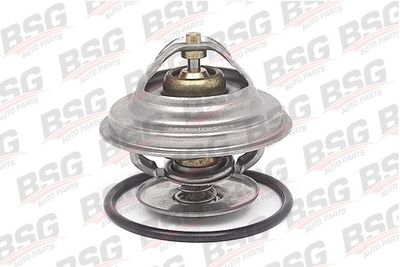 Thermostaat, koelvloeistof BSG60125002