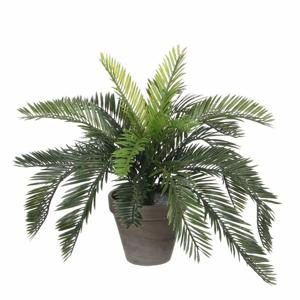 Kunstplant Cycaspalm - groen - H37 cm - in pot - kamerplant - kantoorplant