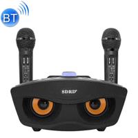 SD-306 2 in 1 familie KTV draagbare draadloze Live Dual microfoon + Bluetooth Speaker(Black)
