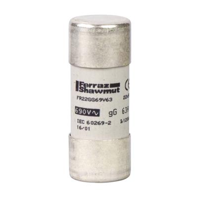 Schneider Electric DF2FN80 Zekering 10 stuk(s)