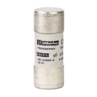 Schneider Electric DF2FN80 Zekering 10 stuk(s)