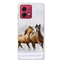 Motorola Moto G84 TPU Hoesje Paarden