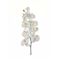 Kunstbloem - Orchidee - op tak - 100 cm - wit - sier - decoratie bloemen - thumbnail