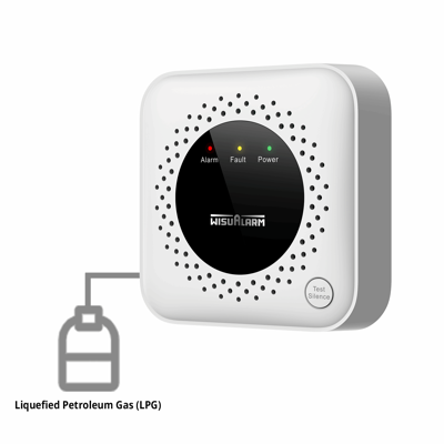 Wisualarm Standalone LPG Gas Alarm for Propane Concentration Detection