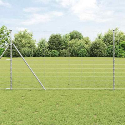 Weidehekwerk Zilver 50 x 1.4 m Gegalvaniseerd staal