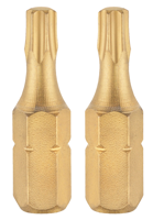Connex Bits Torx G20 Iso/Tin (2St) - COXT973820