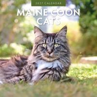 Maine Coon Kalender 2027