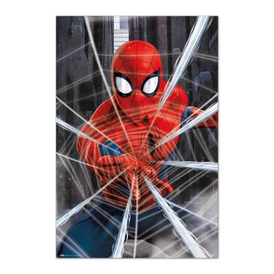 Poster Marvel Spider-Man Gotcha 61x91,5cm