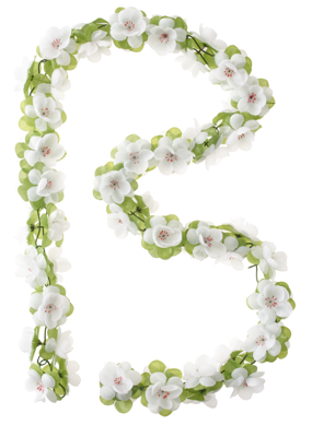 Basil roses garland - bloemenstreng - wit
