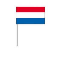 Handvlag Nederland 12 x 24 cm - thumbnail