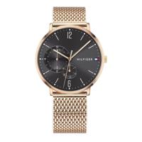 Tommy Hilfiger 1791506 Herenhorloge