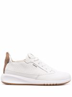 Geox baskets Aerantis - Blanc