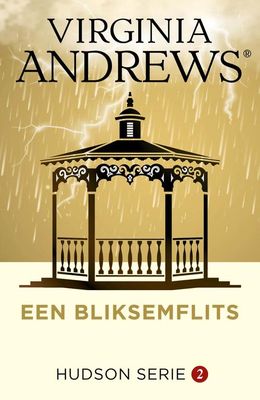 Een bliksemflits - Virginia Andrews - ebook