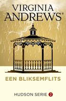 Een bliksemflits - Virginia Andrews - ebook