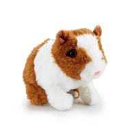Pitter Patter Pets cavia