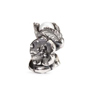 Trollbeads TAGBE-00031 Kraal Meiduindoorn zilver